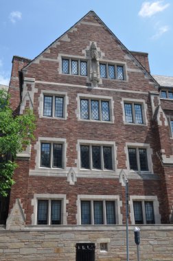 Yale Üniversitesi Connecticut