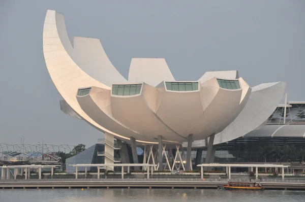 ArtScience Museum — Stock Photo, Image