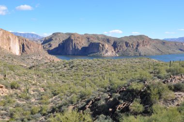 Lake along Apache Trail in Arizona, USA clipart