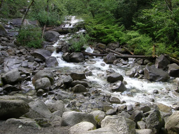 Shannon Falls en Columbia Británica en Canadá —  Fotos de Stock