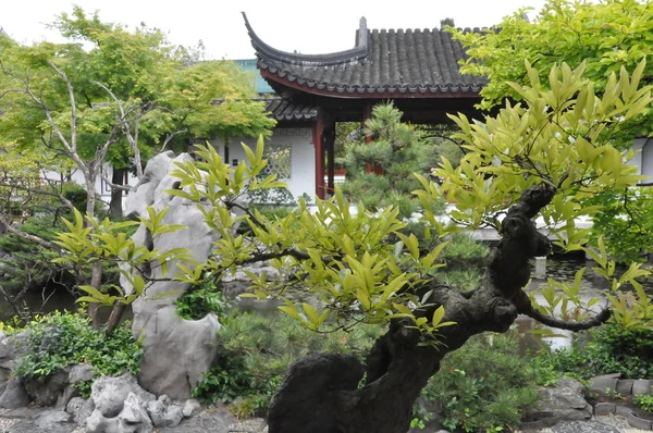 Dr. Sun Yat-Sen Jardim Clássico Chinês em Vancouver — Fotografia de Stock