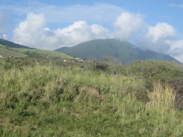 在加勒比地区圣基茨 — 图库照片