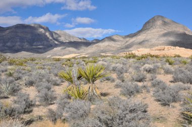 Kızıl Kaya Kanyonu