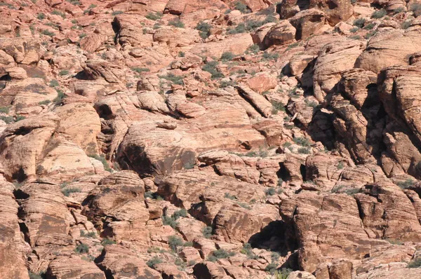 Cañón Red Rock — Foto de Stock