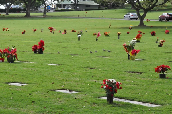 Punchbowl National Cemetery in Hawaii — Stock Photo, Image