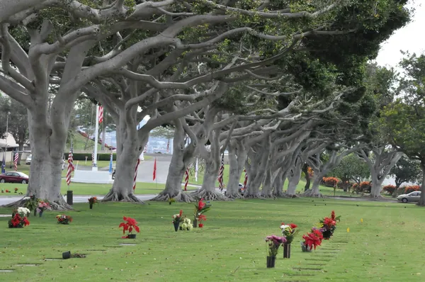 Punchbowl National Cemetery in Hawaii — Stock Photo, Image