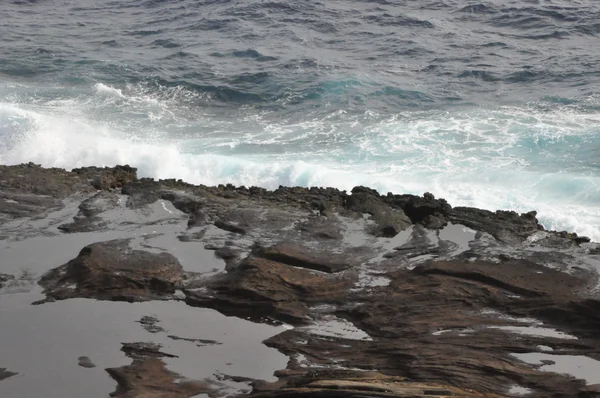 East coast oahu adasında — Stok fotoğraf