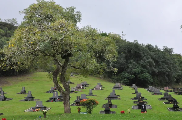 Valley of the Temples Memorial Park em Oahu — Fotografia de Stock