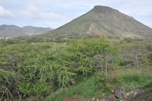 Koko hoofd berg in Oahu, Hawaii — Stockfoto