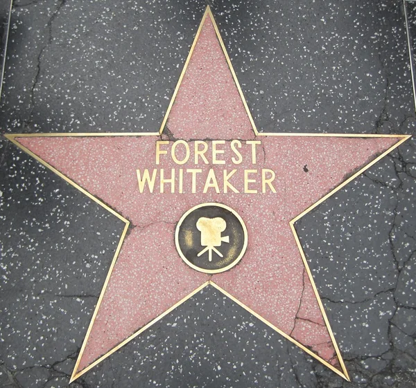 Whitaker'ın Star Hollywood Walk of Fame adlı orman — Stok fotoğraf