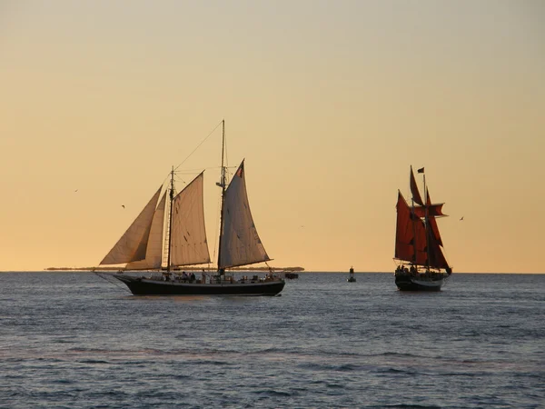 Key west zonsondergang — Stockfoto