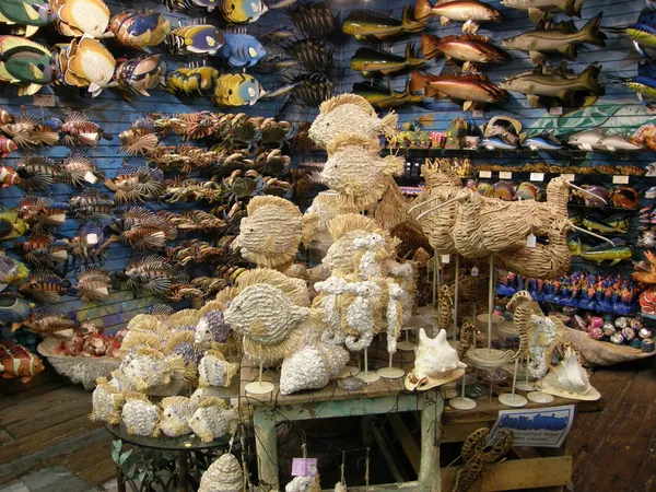 Shell Warehouse in Key West, Florida — Stock Photo, Image