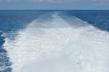 Bermuda sularına