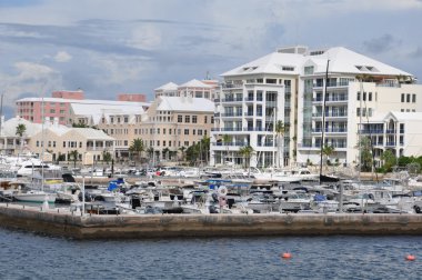 Bermuda'da Hamilton