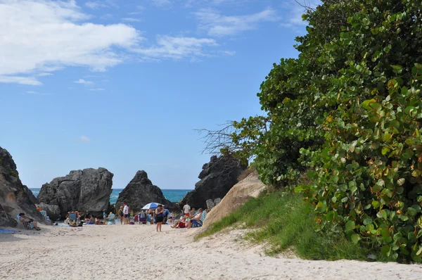Hufeisenbucht Strand in Bermuda — Stockfoto