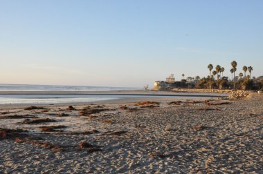 Cardiff devlet beach california