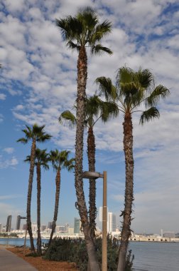 san Diego, california Coronado Adası