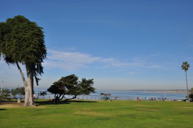 La Jolla, Kaliforniya San Diego yakınındaki Park