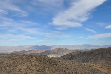 avuç içi doğal dolaşık yol çam