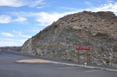 avuç içi doğal dolaşık yol çam