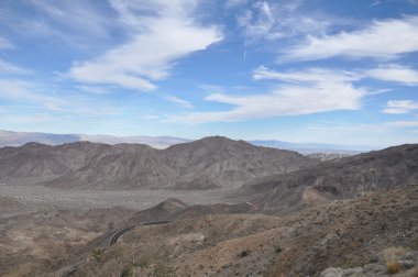 avuç içi doğal dolaşık yol çam