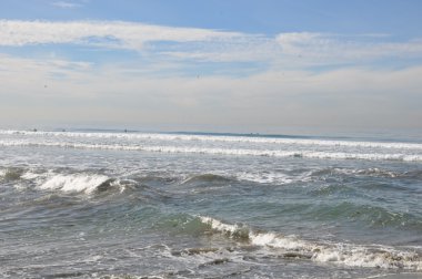 Torrey Pines State Reserve in California clipart