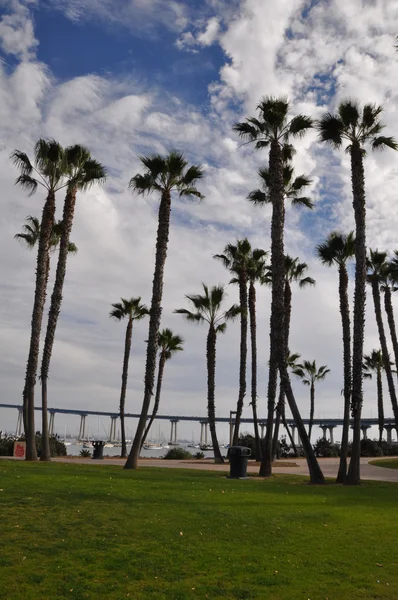 Coronado island w san diego, california — Zdjęcie stockowe