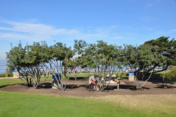 La Jolla Shores na Califórnia — Fotografia de Stock