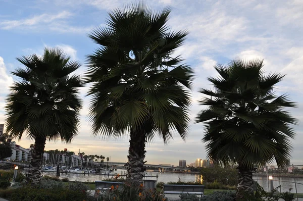 Long Beach California — Stok fotoğraf