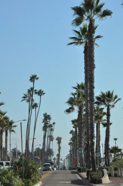 Ozeanufer in Kalifornien — Stockfoto