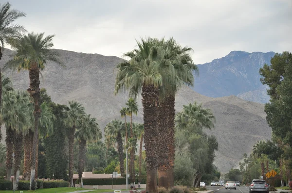 Palm Desert in Californië — Stockfoto