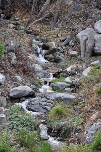 Palm springs van kabelbaan in Californië — Stockfoto