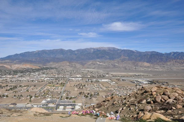 Dennen aan palmen scenic byway — Stockfoto