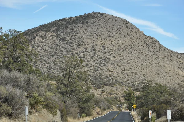 Pins à Palmiers Scenic Byway — Photo