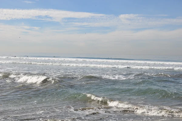 Reserva Estadual de Torrey Pines na Califórnia — Fotografia de Stock