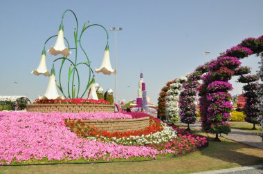 BAE Dubai mucize Bahçe