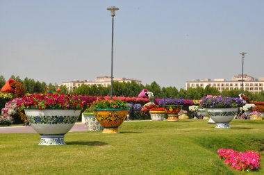 BAE Dubai mucize Bahçe