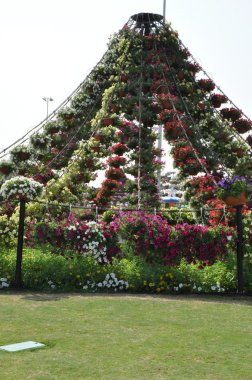 BAE Dubai mucize Bahçe