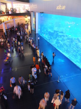 Dubai, Birleşik Arap Emirlikleri dubai alışveriş merkezi Akvaryum