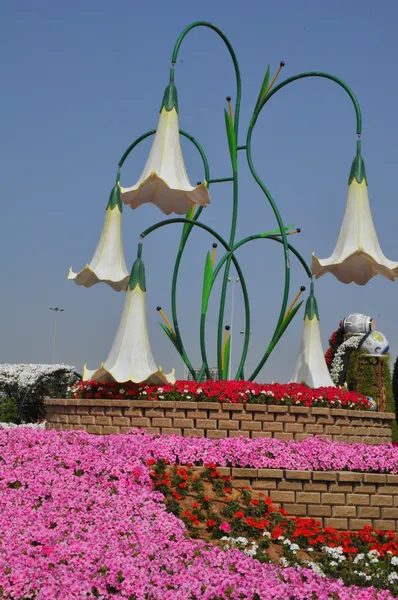 Jardin Miracle de Dubaï aux EAU — Photo