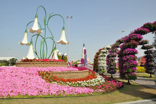 Ogród cud Dubaju w Zjednoczonych Emiratach Arabskich — Zdjęcie stockowe