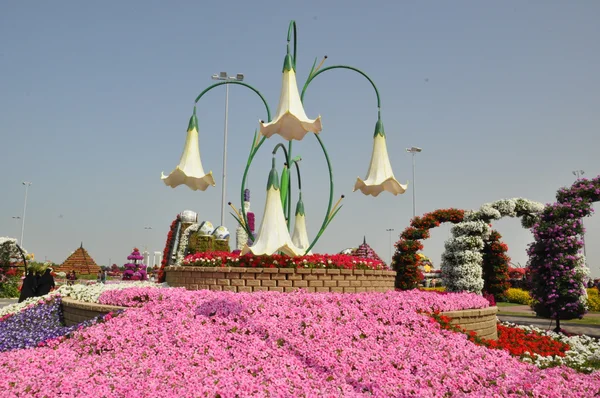 BAE Dubai mucize Bahçe — Stok fotoğraf
