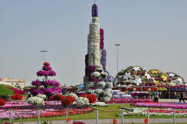 Dubai Miracle Garden nos Emirados Árabes Unidos — Fotografia de Stock