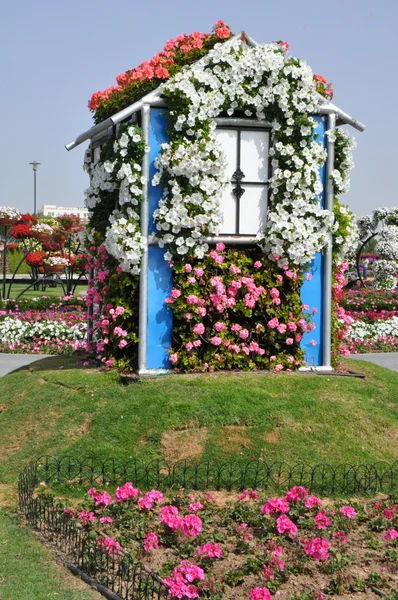 Dubai Miracle Garden en los Emiratos Árabes Unidos —  Fotos de Stock