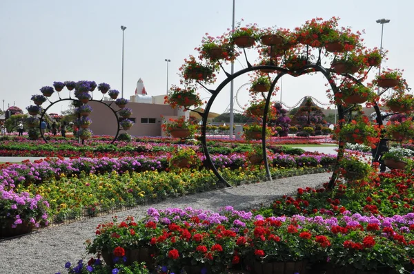 Dubai Miracle Garden nos Emirados Árabes Unidos — Fotografia de Stock