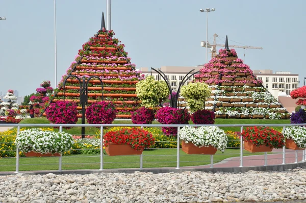 Dubai Miracle Garden negli Emirati Arabi Uniti — Foto Stock