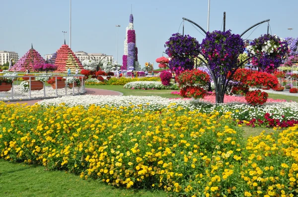 Jardin Miracle de Dubaï aux EAU — Photo