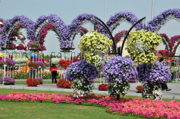 Jardin Miracle de Dubaï aux EAU — Photo