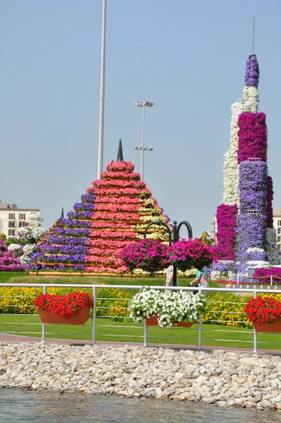Dubai Miracle Garden in the UAE — Stock Photo, Image