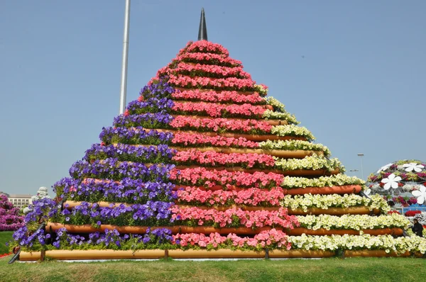 Dubai Miracle Garden in the UAE — Stock Photo, Image